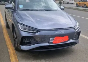 Photo - BYD E2 43 kWh 94 hp FWD 2024 Brown