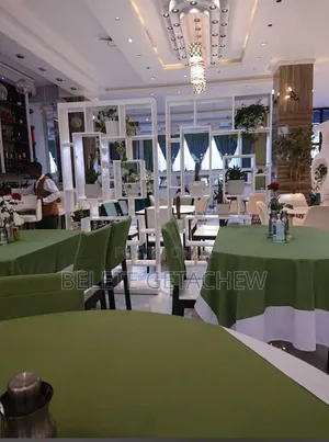 Bole, B+G+2 Luxury Hotel Building for Sale 500sqm