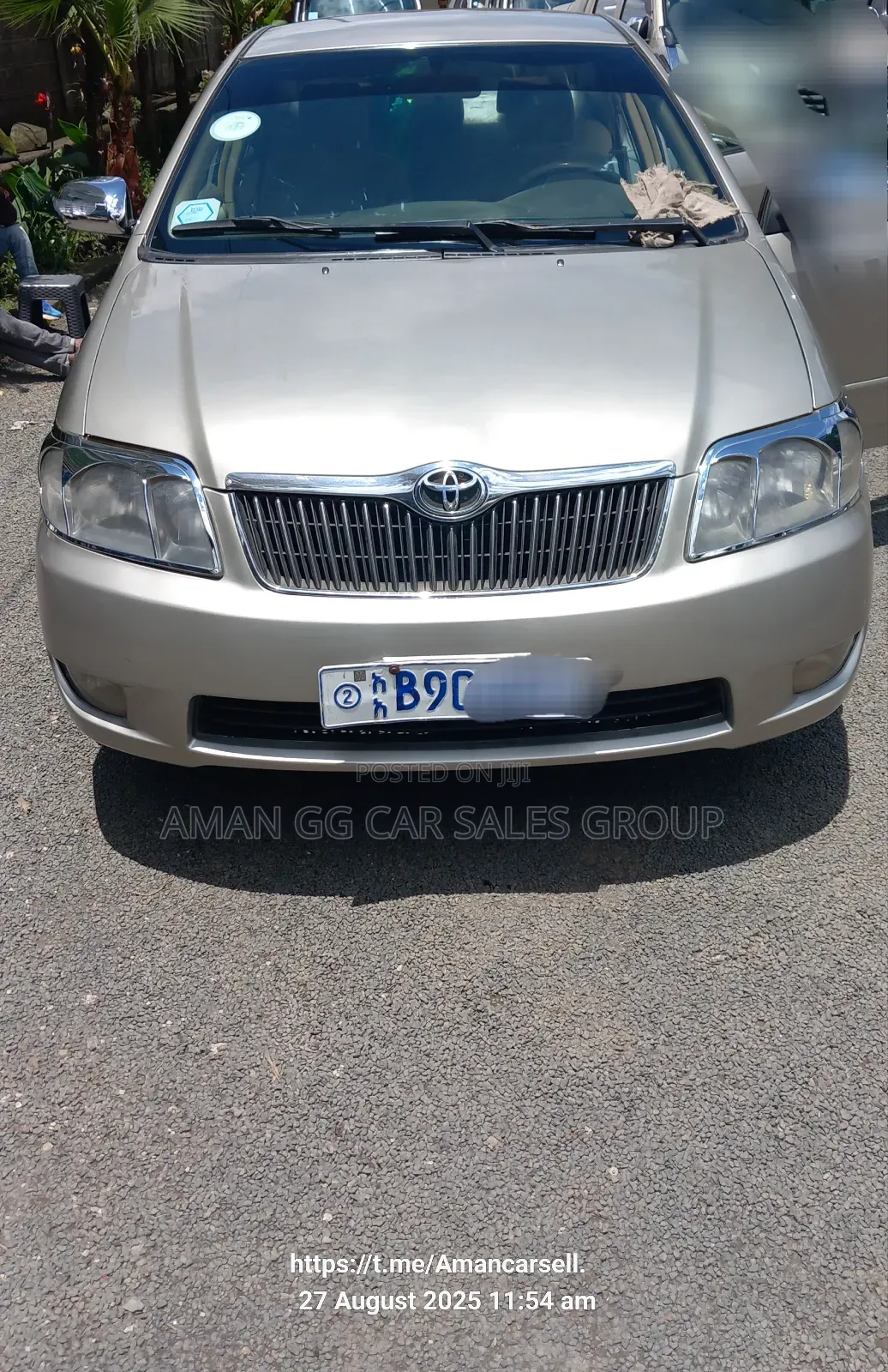 Toyota Corolla 2004 Teal