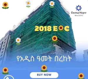 Furnished 2bdrm Apartment in Djibouti, Bole for sale