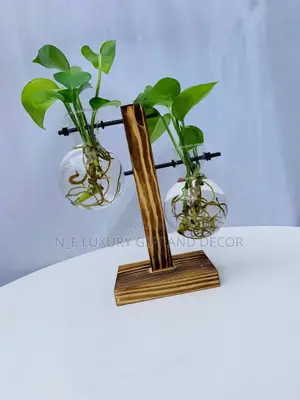 Water Plant With Fancy Vase