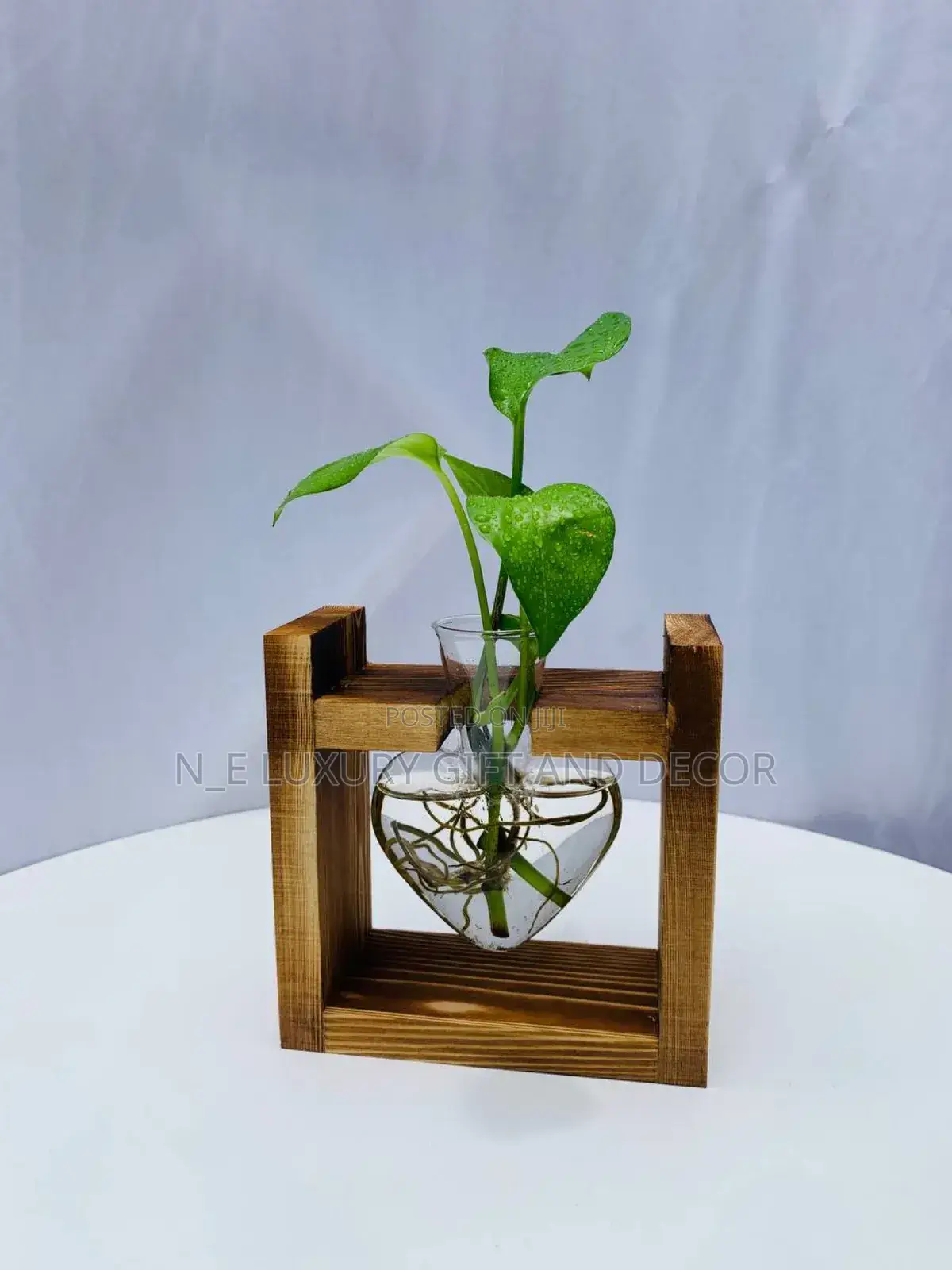 Water Plant With Fancy Vase