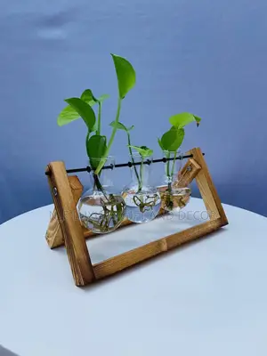 Water Plant With Fancy Vase