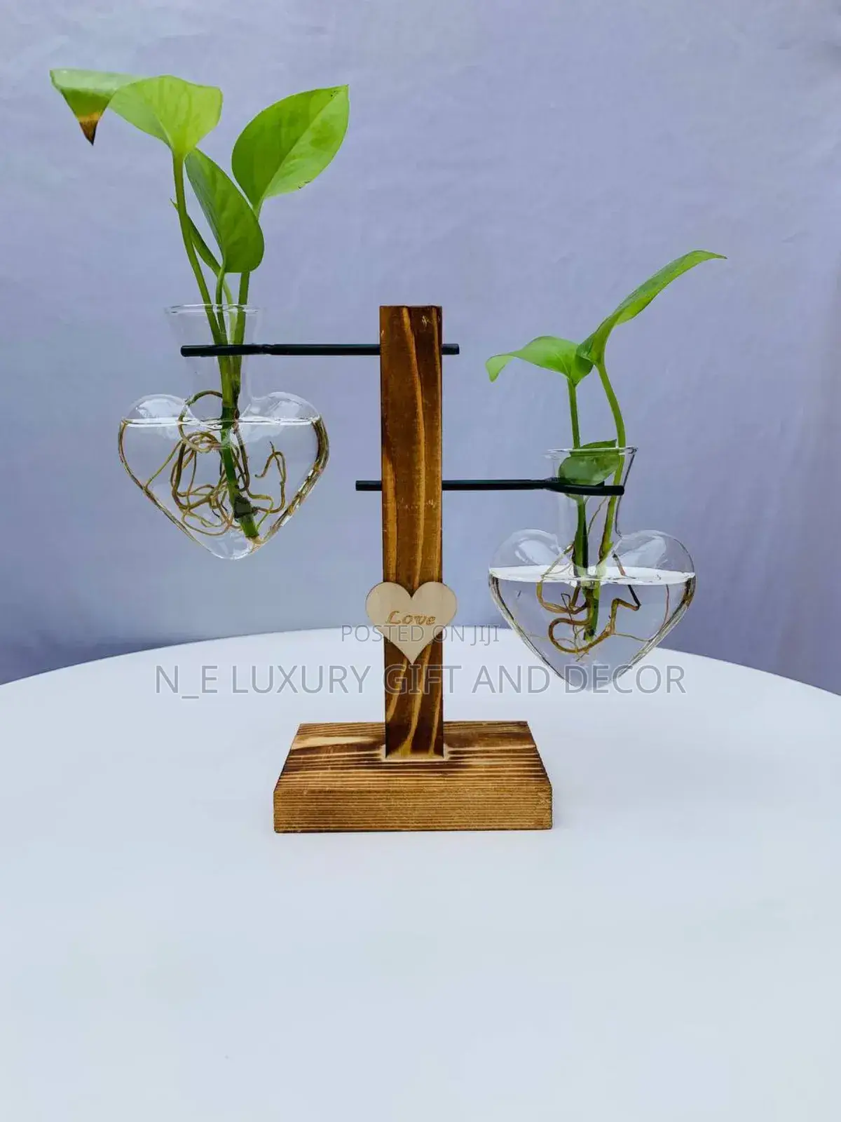 Water Plant With Fancy Vase