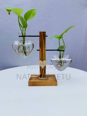 Water Plant With Fancy Vase