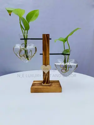 Water Plant With Fancy Vase
