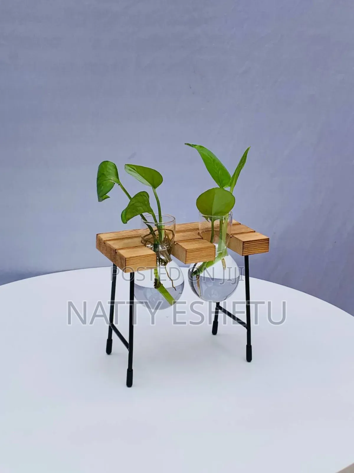 Water Plant With Fancy Vase