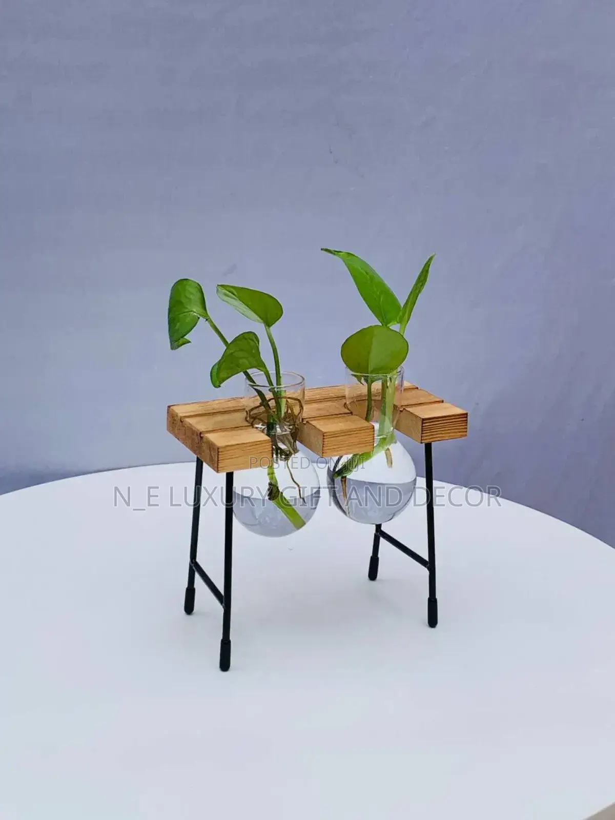 Water Plant With Fancy Vase