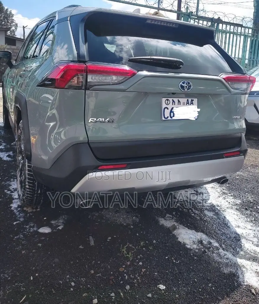 Toyota RAV4 2023 Green
