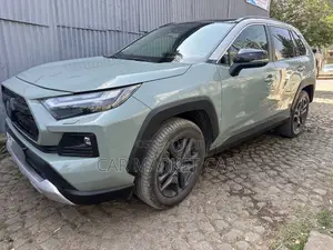 Toyota RAV4 Hybrid 2023 Gray