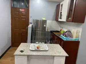 Furnished 1bdrm Apartment in Bole Bolbula for rent