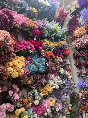 Attractive Flower