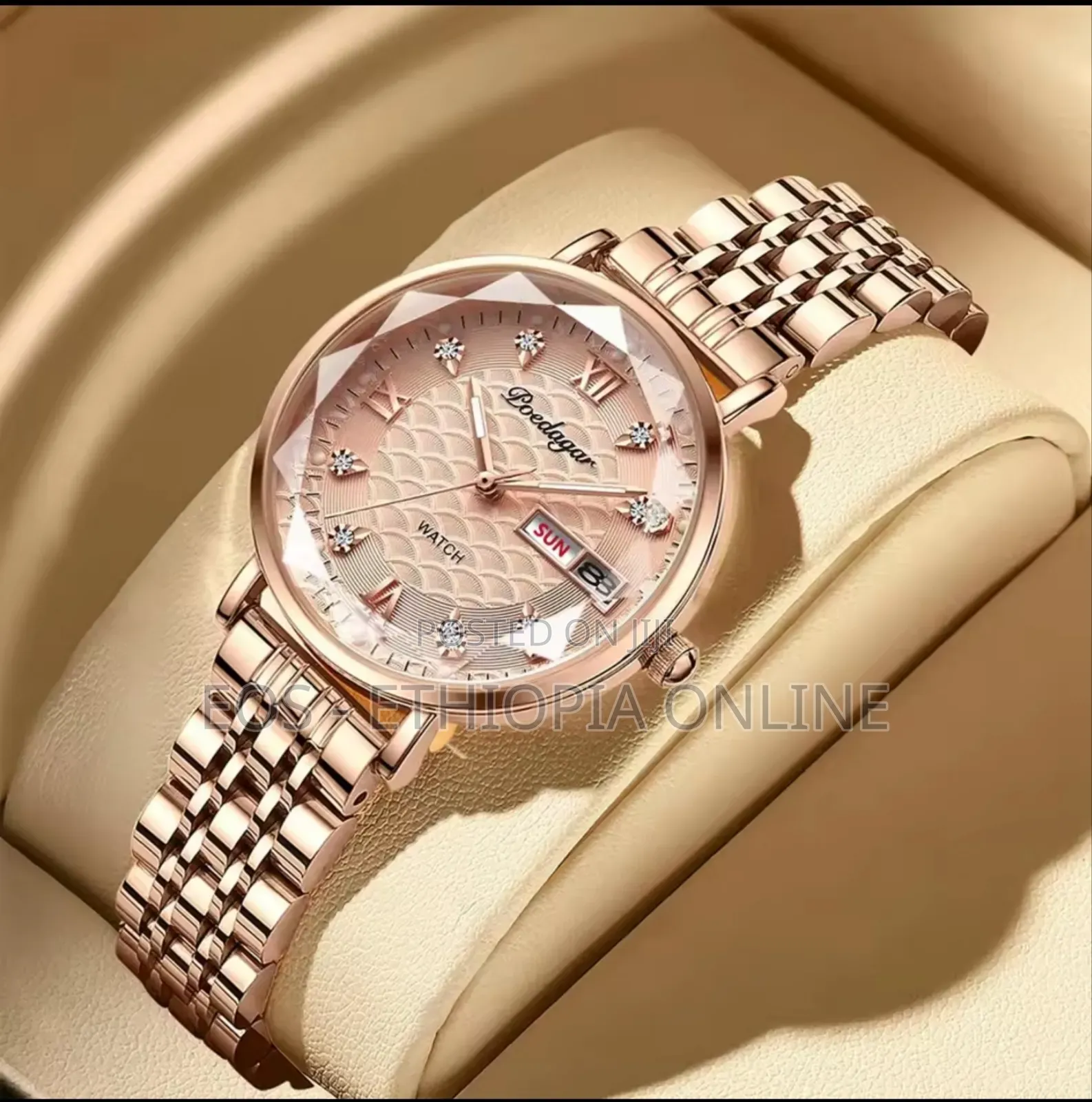 Elegant Poedagar Luminous Women's Watch [Preorder]