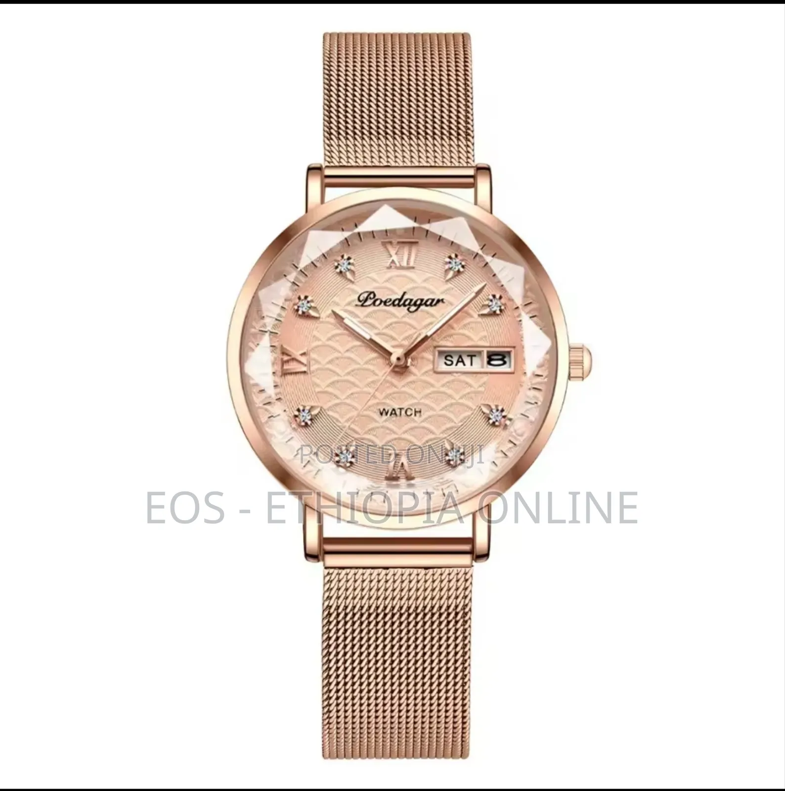 Elegant Poedagar Luminous Women's Watch [Preorder]
