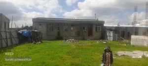 4bdrm Farm House in Oromia-Finfinne for rent