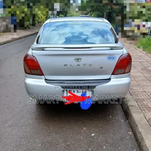 Toyota Platz 2001 Silver