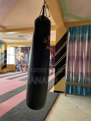 Photo - It’S a Boxing Bag a New One You Can See the Quality on the Photo