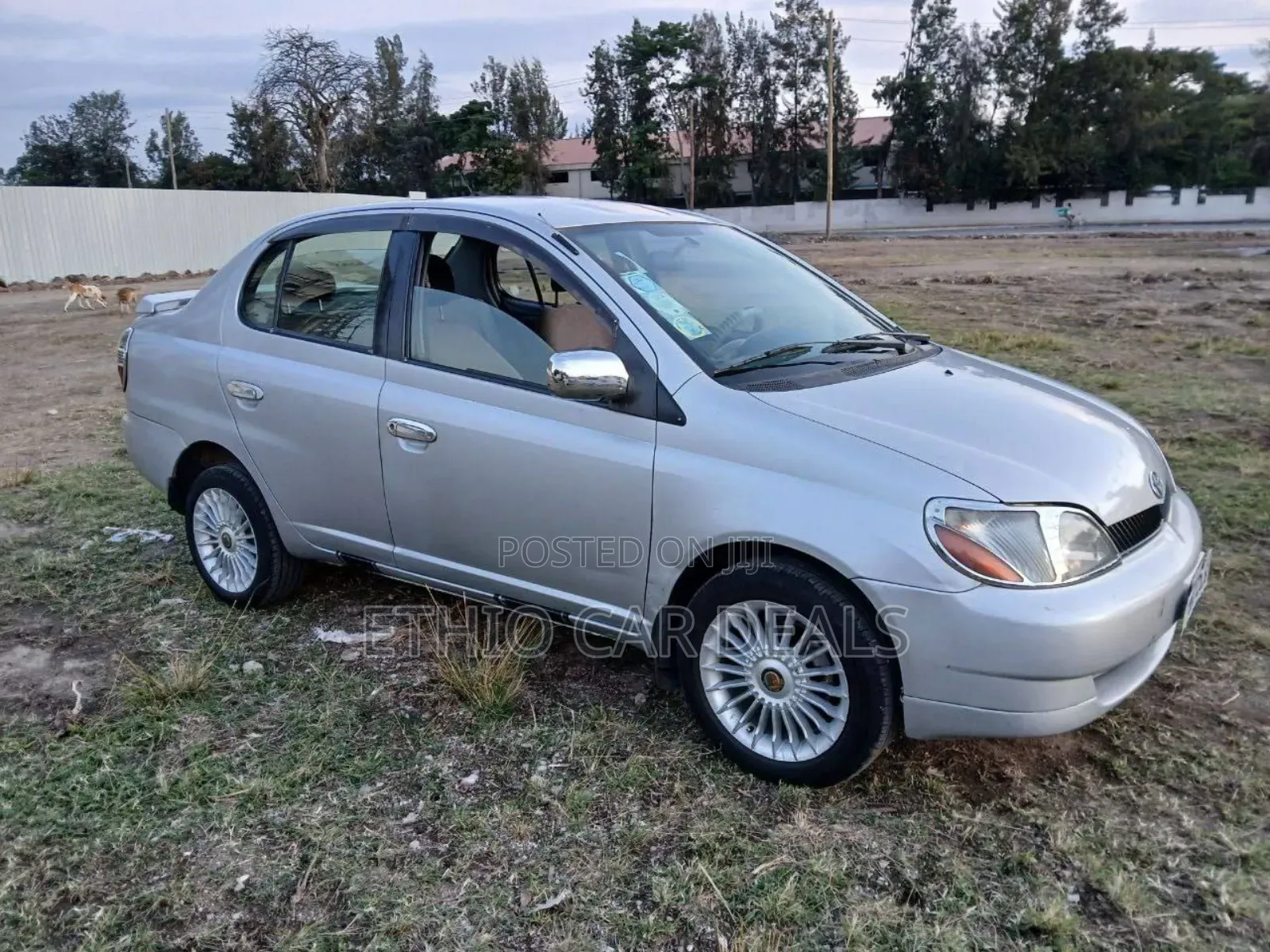 Toyota Platz 2001 Off white