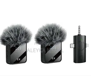 Photo - Wireless Microphone