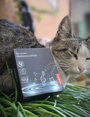 Lenovo Thinkplus Airbud