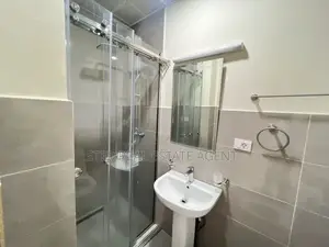 Furnished 3bdrm Apartment in Bole for rent