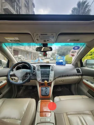 Lexus RX 330 2003 Brown