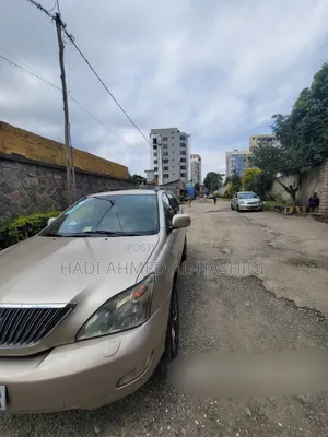 Lexus RX 330 2003 Brown