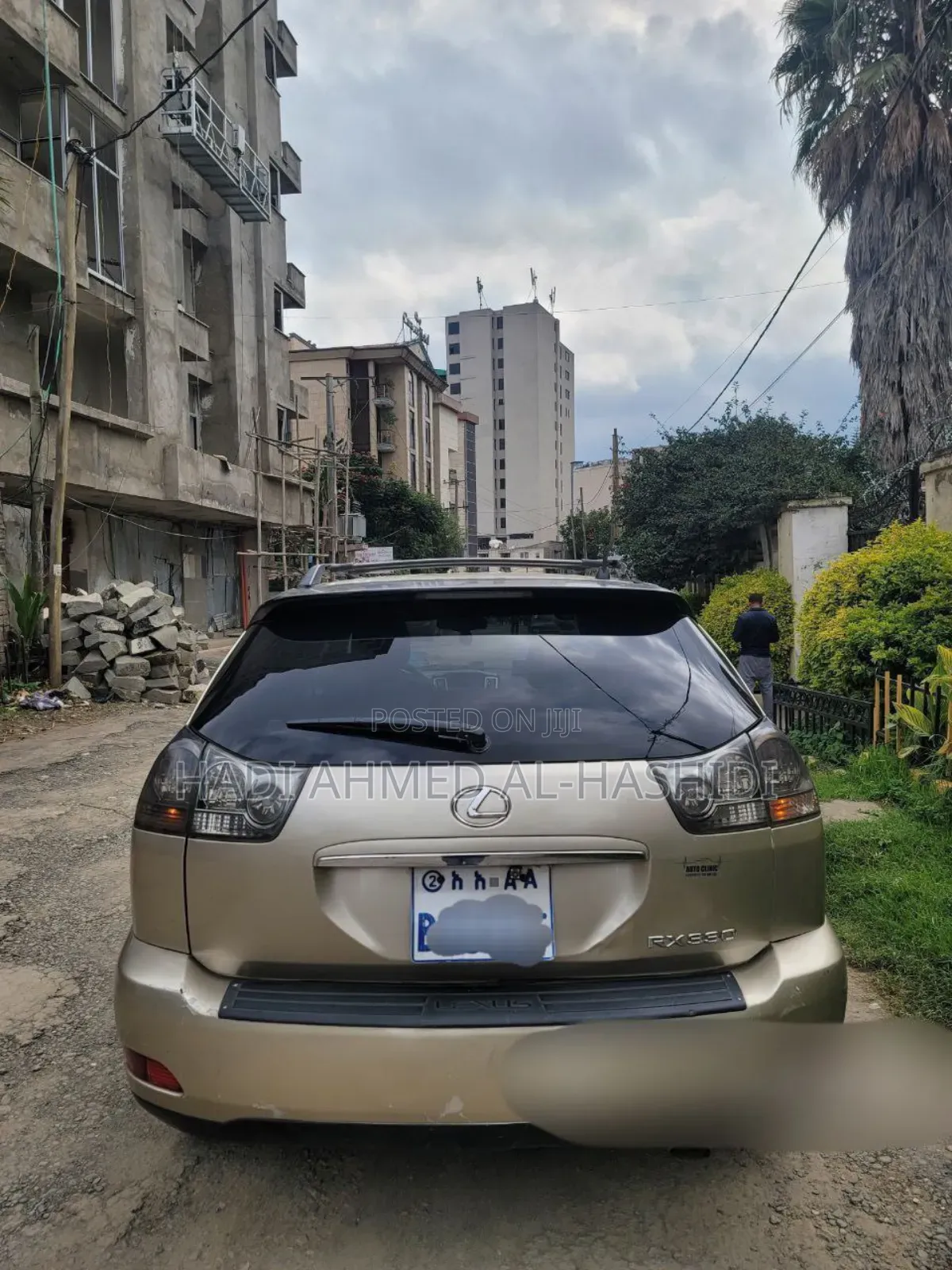 Lexus RX 330 2003 Brown