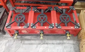 Industrial Gas Stove