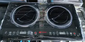 Photo - Everest Ceramic Stove 2pleatdigital Stove