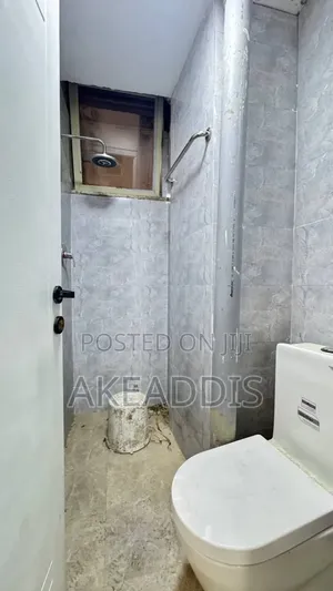 Furnished 3bdrm Condo in መሪ ሎቄ, Bole for sale