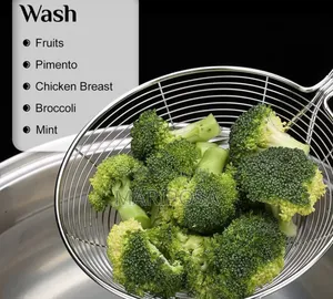 Stainless Steel Spider Strainer