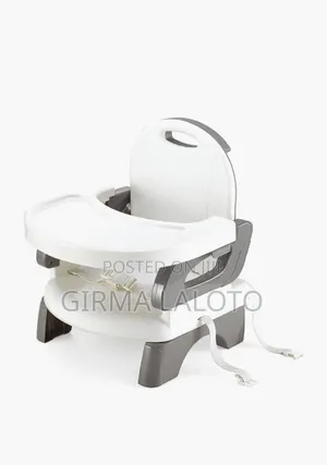 Mastela Booster to Toddler Seat