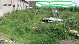 ለሺያጭ የቀረበ መጋዘን