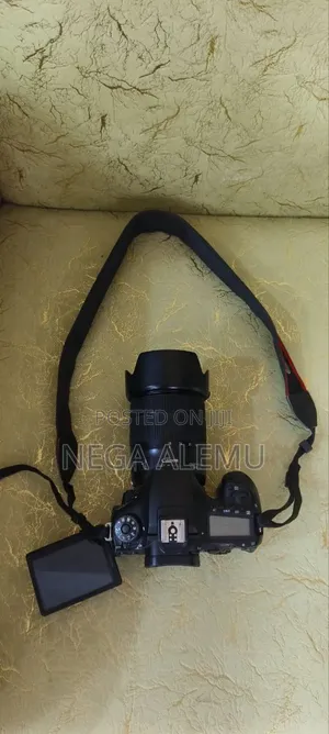 Canon90d Mark1zebralens