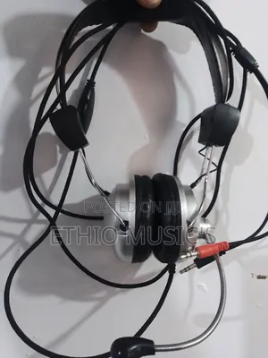 Headphone With Mic