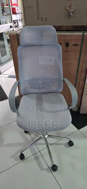 Photo - Manager Chair (Silver Couler)