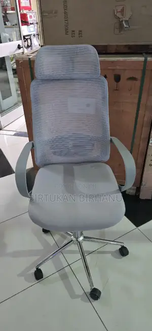 Manager Chair (Silver Couler)