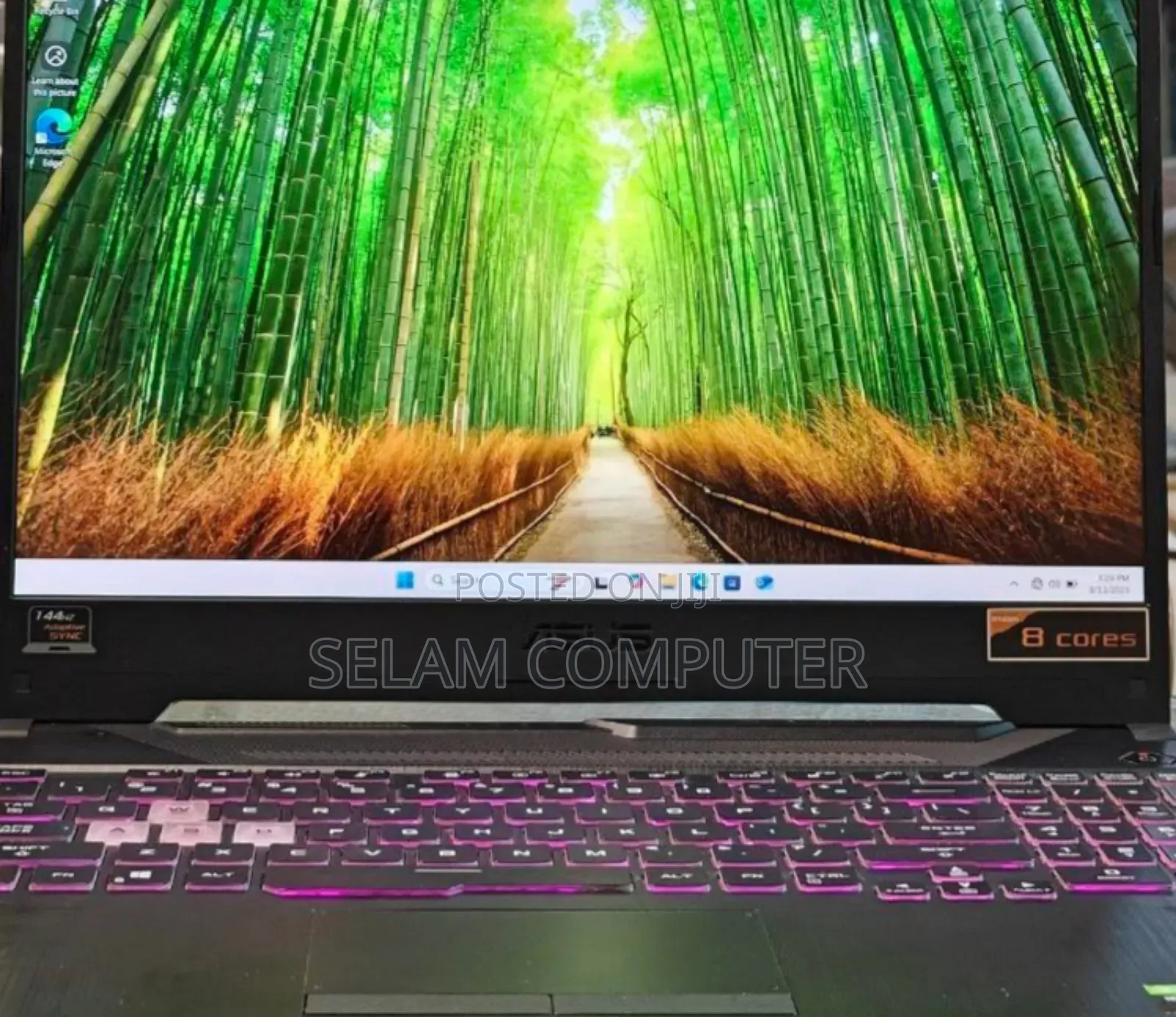 New Laptop Asus TUF Gaming A15 16GB AMD Ryzen 9 SSD 512GB