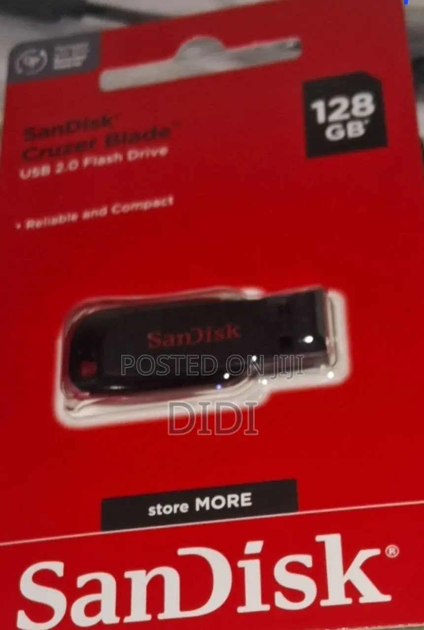 San Disk Flash Memory