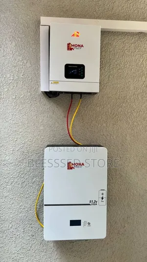 Mona Power Litiome Iron Battery