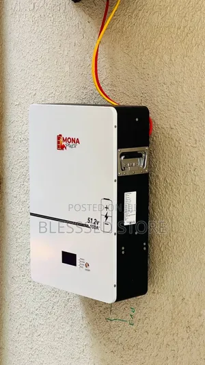 Mona Power Litiome Iron Battery