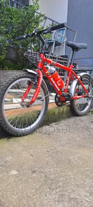 Photo - Original Cycle