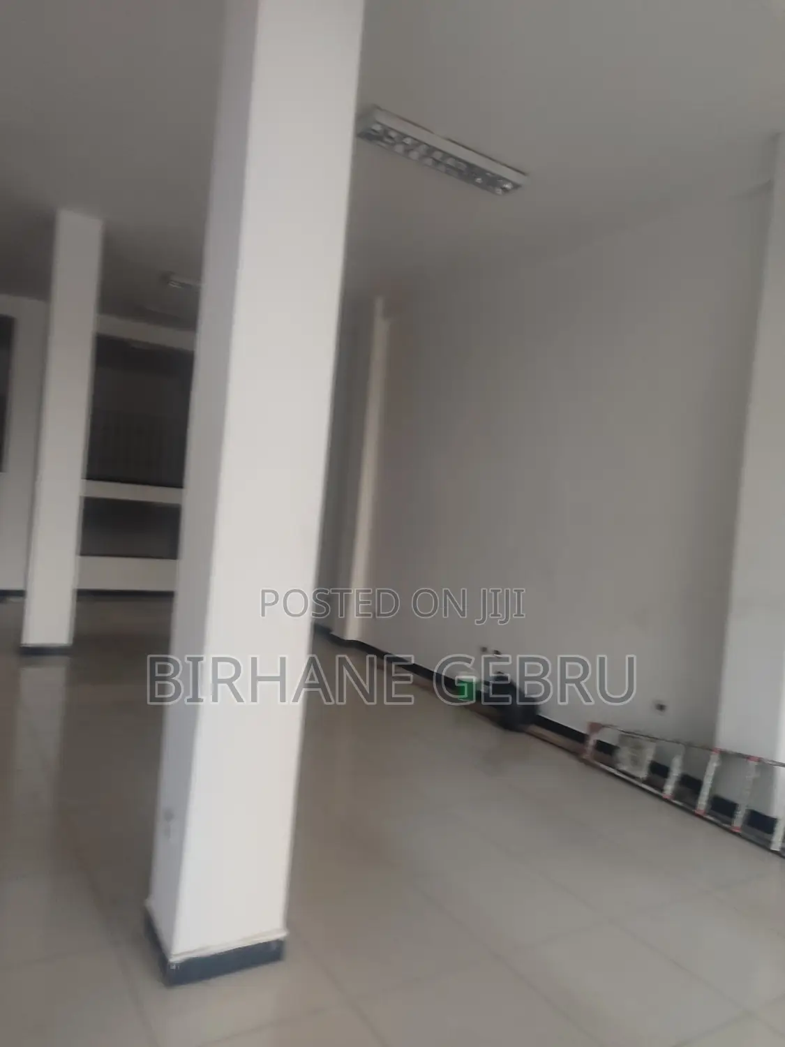 Luxury Aparitment Rent for Bank or Supermarket