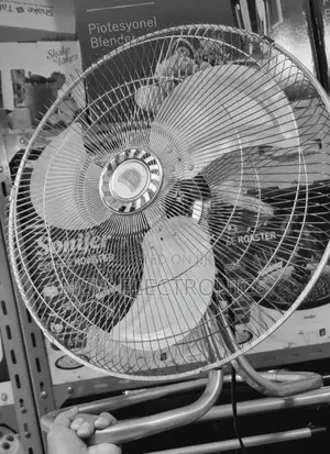 Stand Fan አየር ማቀዝቀዣ Stelles Steel Fan