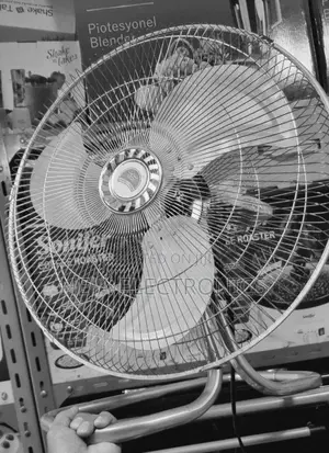 Stand Fan አየር ማቀዝቀዣ Stelles Steel Fan