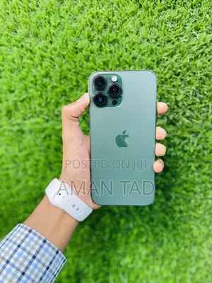 New Apple iPhone 13 Pro Max 256 GB Green