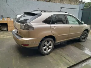 Lexus RX 330 2003 Brown