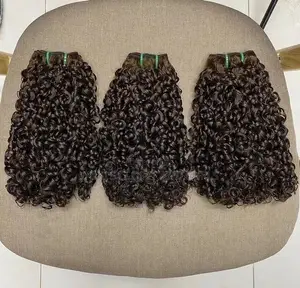 16 Inch Single Drawn Pixie Curl 2pcs Human Hair