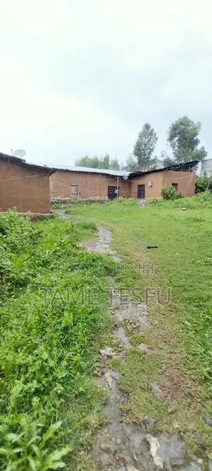 1bdrm House in ኮቶቤ, Yeka for sale